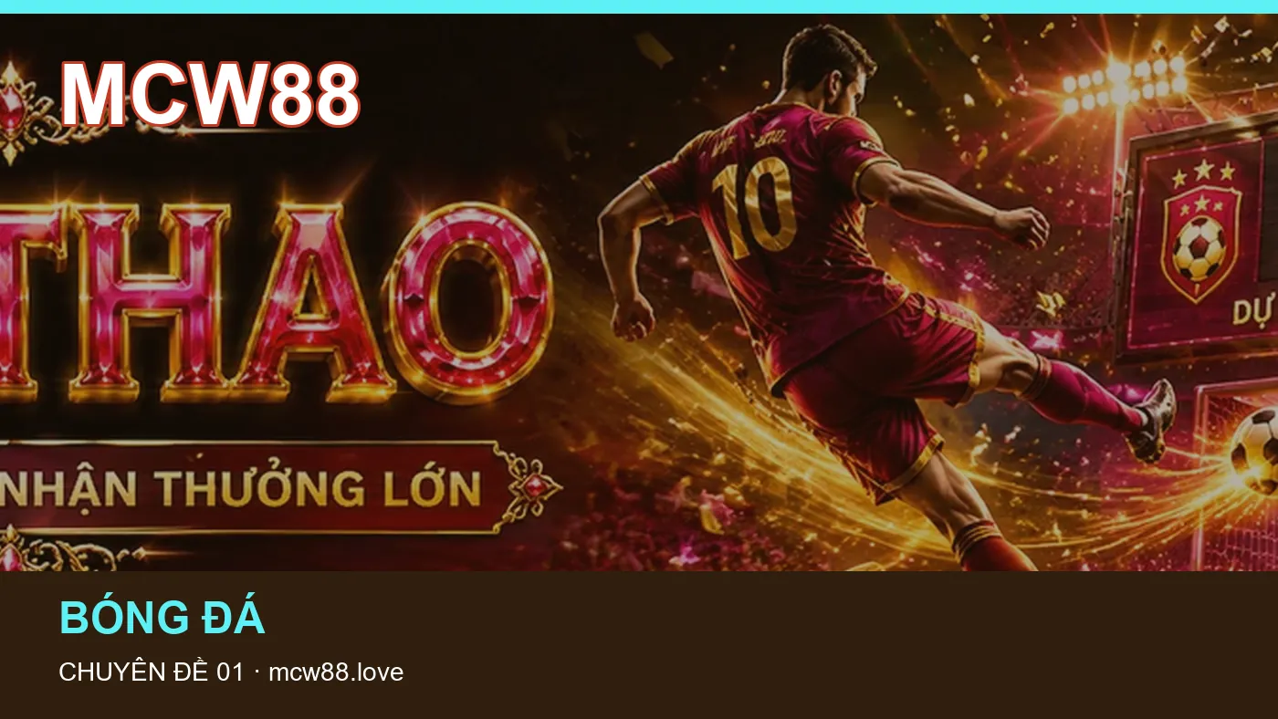 Danh sách kiểm tra thông tin Casino dành cho người đọc MCW88