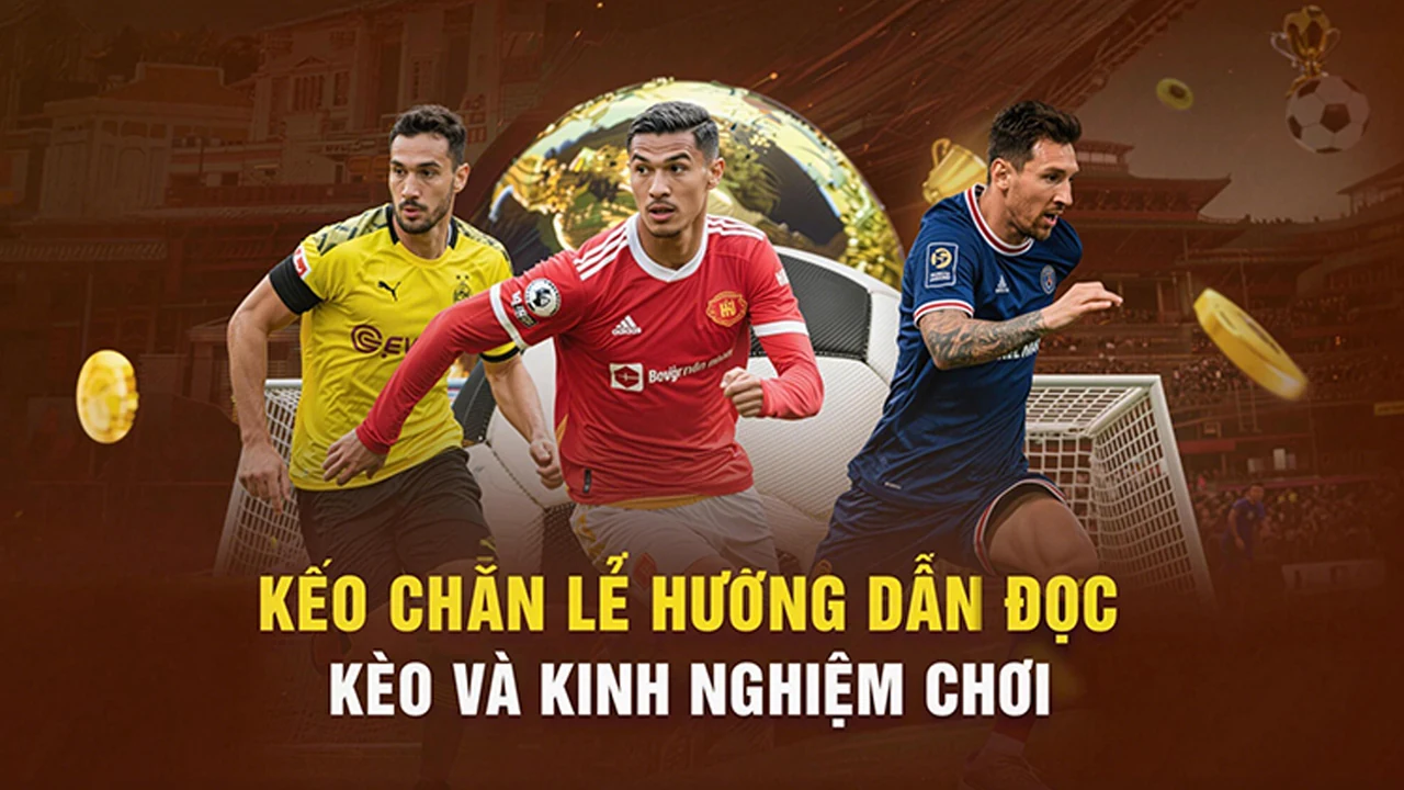 Hướng dẫn đối chiếu thông tin ứng dụng trên di động trên MCW88 qua góc nhìn thực tế | mcw88.love
